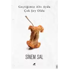 Geçtiğimiz Altı Ayda Çok Şey Oldu