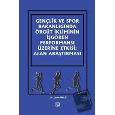 Gençlik ve Spor Bakanlığında Örgüt İkliminin İşgören Performansı Üzerine Etkisi: Alan Araştırması