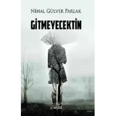 Gitmeyecektin