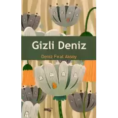 Gizli Deniz