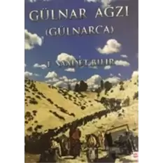 Gülnar Ağzı