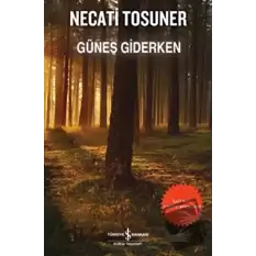 Güneş Giderken