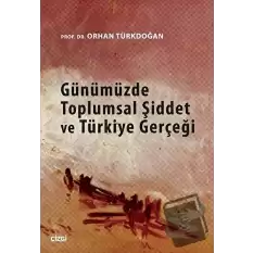 Günümüzde Toplumsal Şiddet ve Türkiye Gerçeği