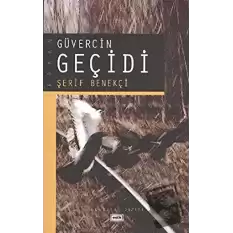 Güvercin Geçidi