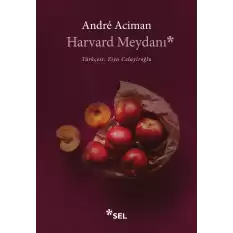 Harvard Meydanı