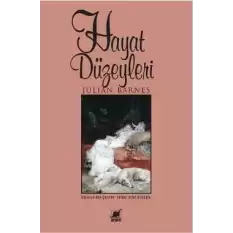 Hayat Düzeyleri