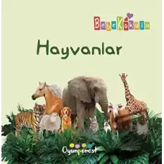 Hayvanlar