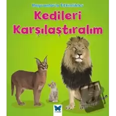 Hayvanlarla Etkinlikler - Kedileri Karşılaştıralım