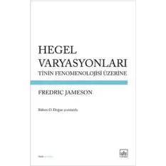 Hegel Varyasyonları: Tinin Fenomenolojisi Üzerine