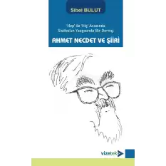 Hep ile Hiç Arasında Sisifosun Yazgısında Bir Derviş: Ahmet Necdet ve Şiiri