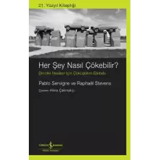 Her Şey Nasıl Çökebilir?