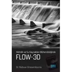 Hidrolik ve Su Kaynakları Mühendisliğinde Flow-3D