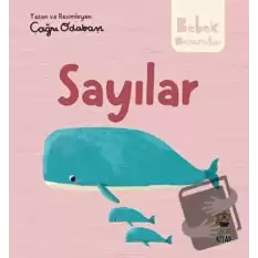 Hikayeli İlk Kavramlarım - Sayılar