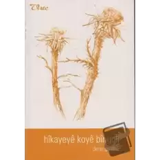 Hikayeye Koye Bingoli