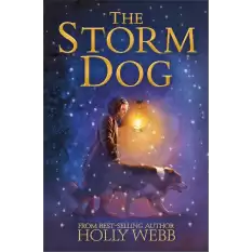 Holly Webb Animal Stories: Winter Animal Stories: The Storm Dog