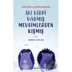 İki Kirpi Varmış Mevsimlerden Kışmış