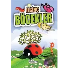 İlginç Böcekler