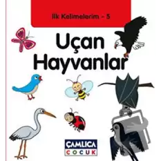 İlk Kelimelerim 5: Uçan Hayvanlar (Ciltli)