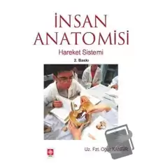 İnsan Anatomisi