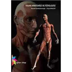 İnsan Anatomisi ve Fizyolojisi