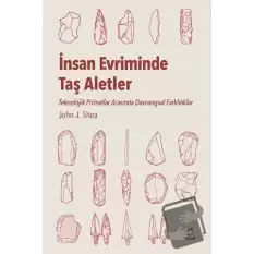 İnsan Evriminde Taş Aletler