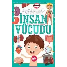 İnsan Vücudu