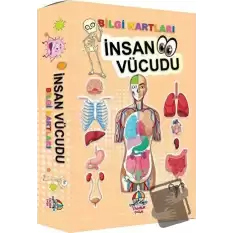 İnsan Vücudu - Bilgi Kartları