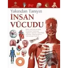 İnsan Vücudu - Yakından Tanıyın