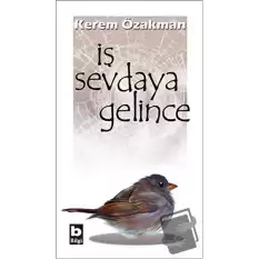 İş Sevdaya Gelince