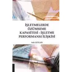 İşletmelerde Özümseme Kapasitesi - İşletme Performansı İlişkisi