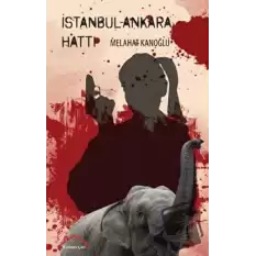 İstanbul - Ankara Hattı