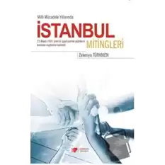 İstanbul Mitingleri