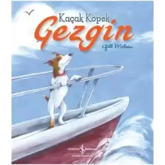 Kaçak Köpek Gezgin