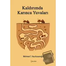 Kaldırımda Karınca Yuvaları