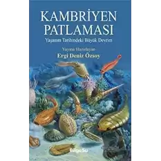 Kambriyen Patlaması