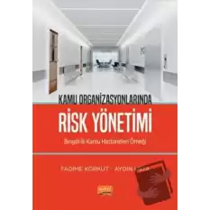 Kamu Organizasyonlarında Risk Yönetimi