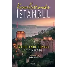 Kanatlarımda İstanbul