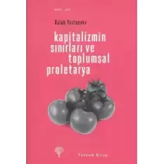 Kapitalizmin Sınırları ve Toplumsal Proletarya