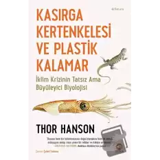 Kasırga Kertenkelesi ve Plastik Kalamar