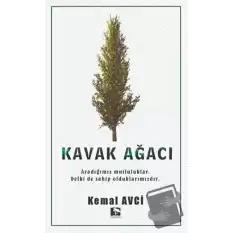 Kavak Ağacı