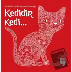 Kedidir Kedi