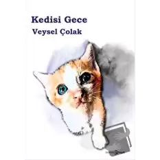 Kedisi Gece