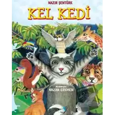 Kel Kedi