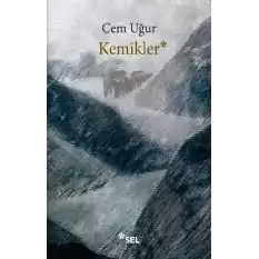 Kemikler