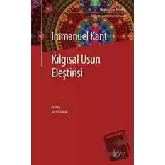 Kılgısal Usun Eleştirisi