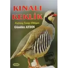 Kınalı Keklik