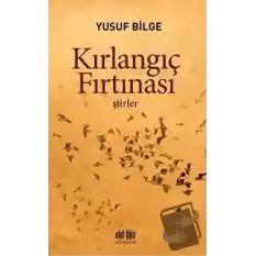 Kırlangıç Fırtınası