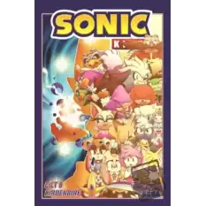 Kirpi Sonic Cit 8 – Birdenbire