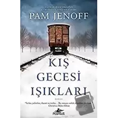 Kış Gecesi Işıkları