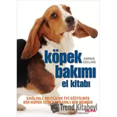 Köpek Bakımı